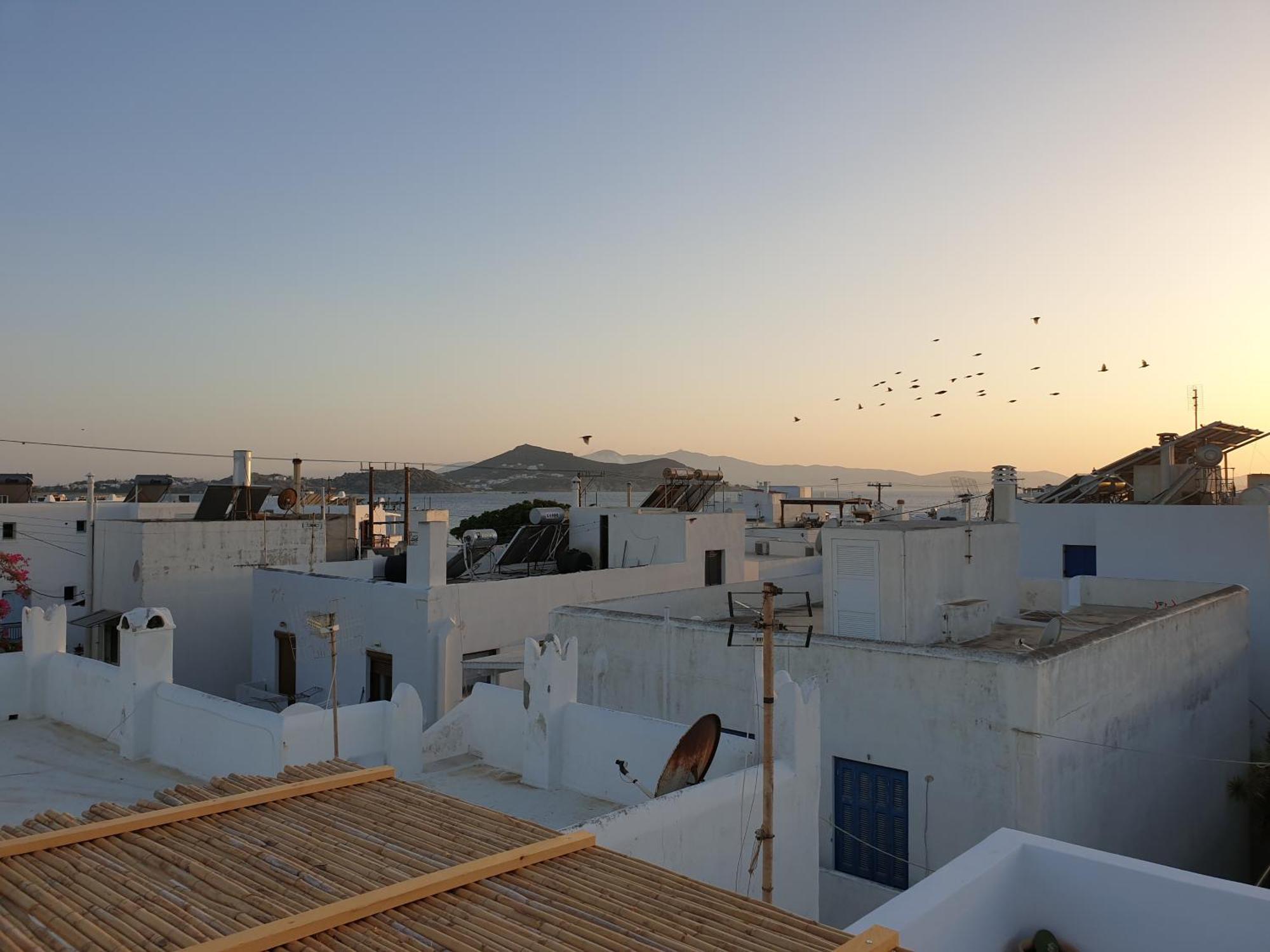 My Island Homes And Residence Naxos City ห้อง รูปภาพ